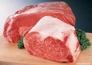 别再赔了！农业部专家深度解析 羊肉产业未来前景与突围之路